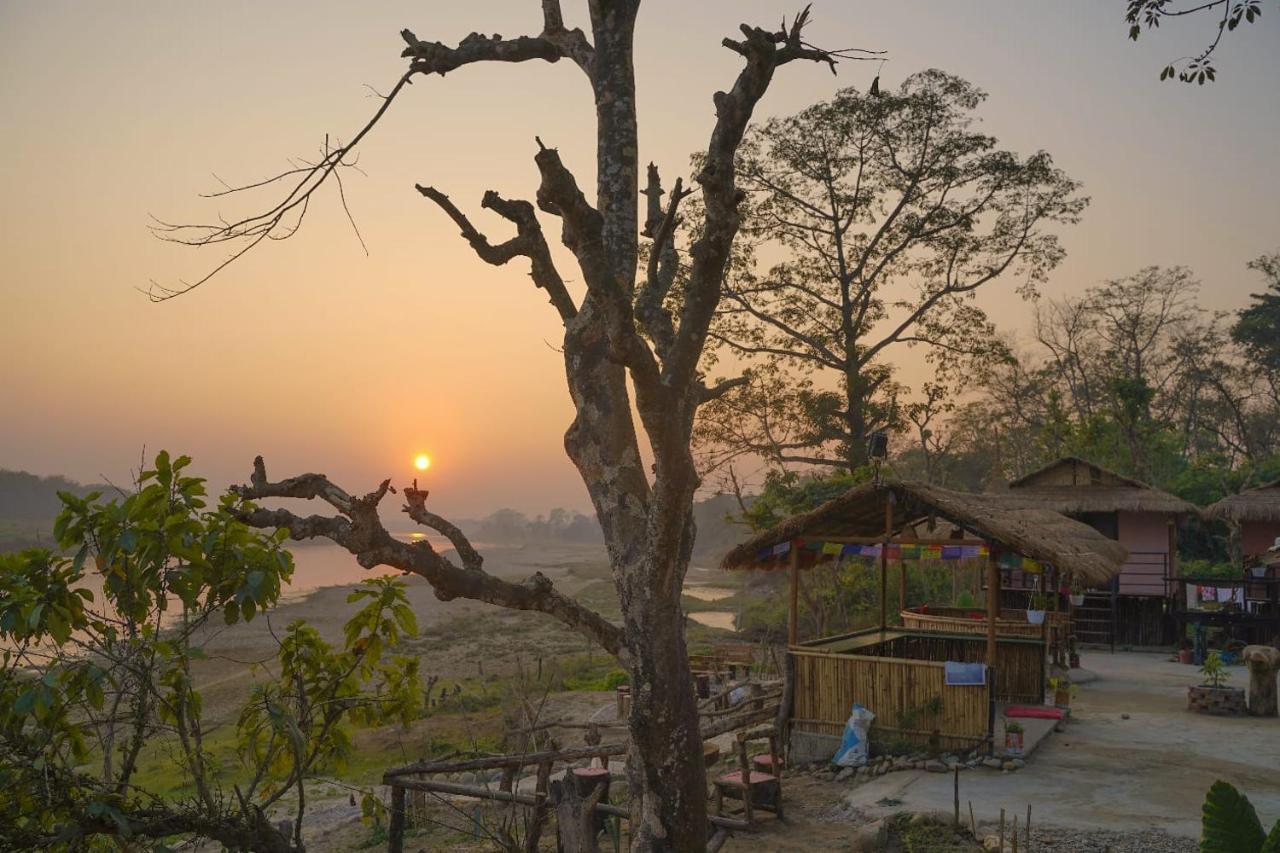 Bamby Chilling House - Feel The Nature Sauraha Exteriör bild