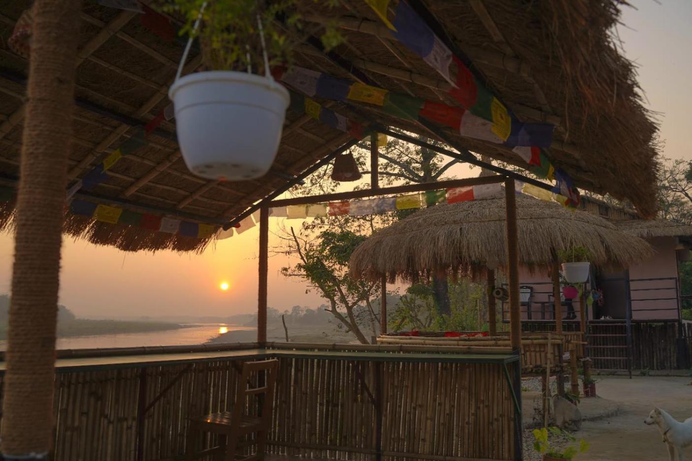 Bamby Chilling House - Feel The Nature Sauraha Exteriör bild