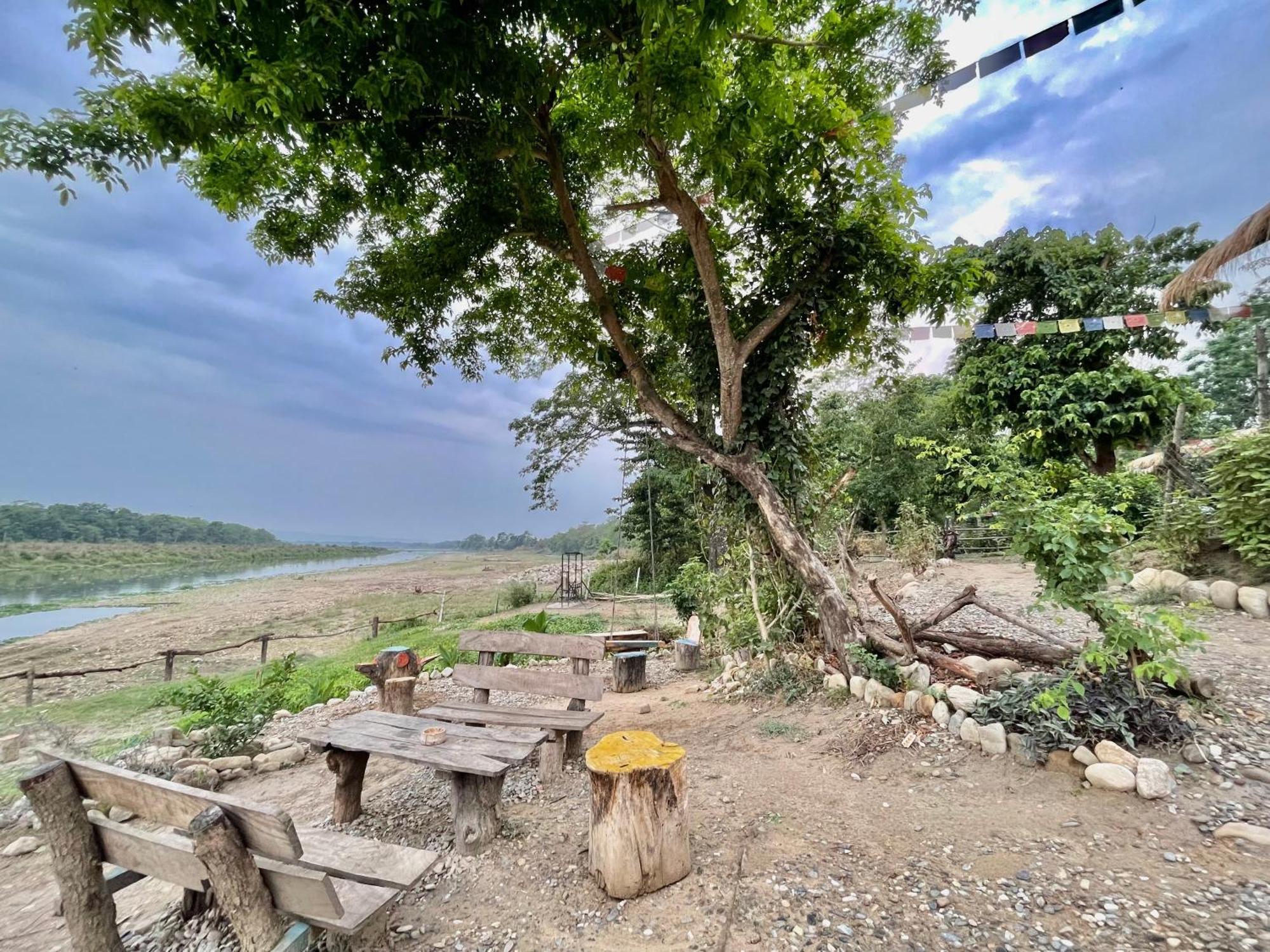 Bamby Chilling House - Feel The Nature Sauraha Exteriör bild