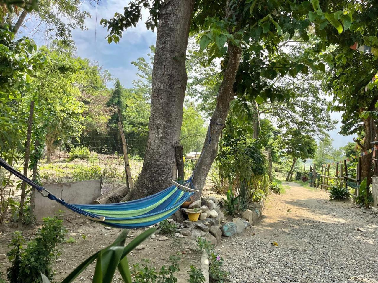 Bamby Chilling House - Feel The Nature Sauraha Exteriör bild