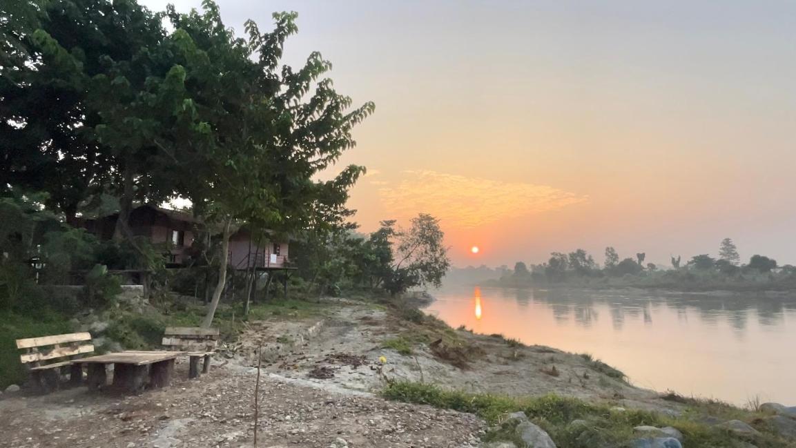 Bamby Chilling House - Feel The Nature Sauraha Exteriör bild