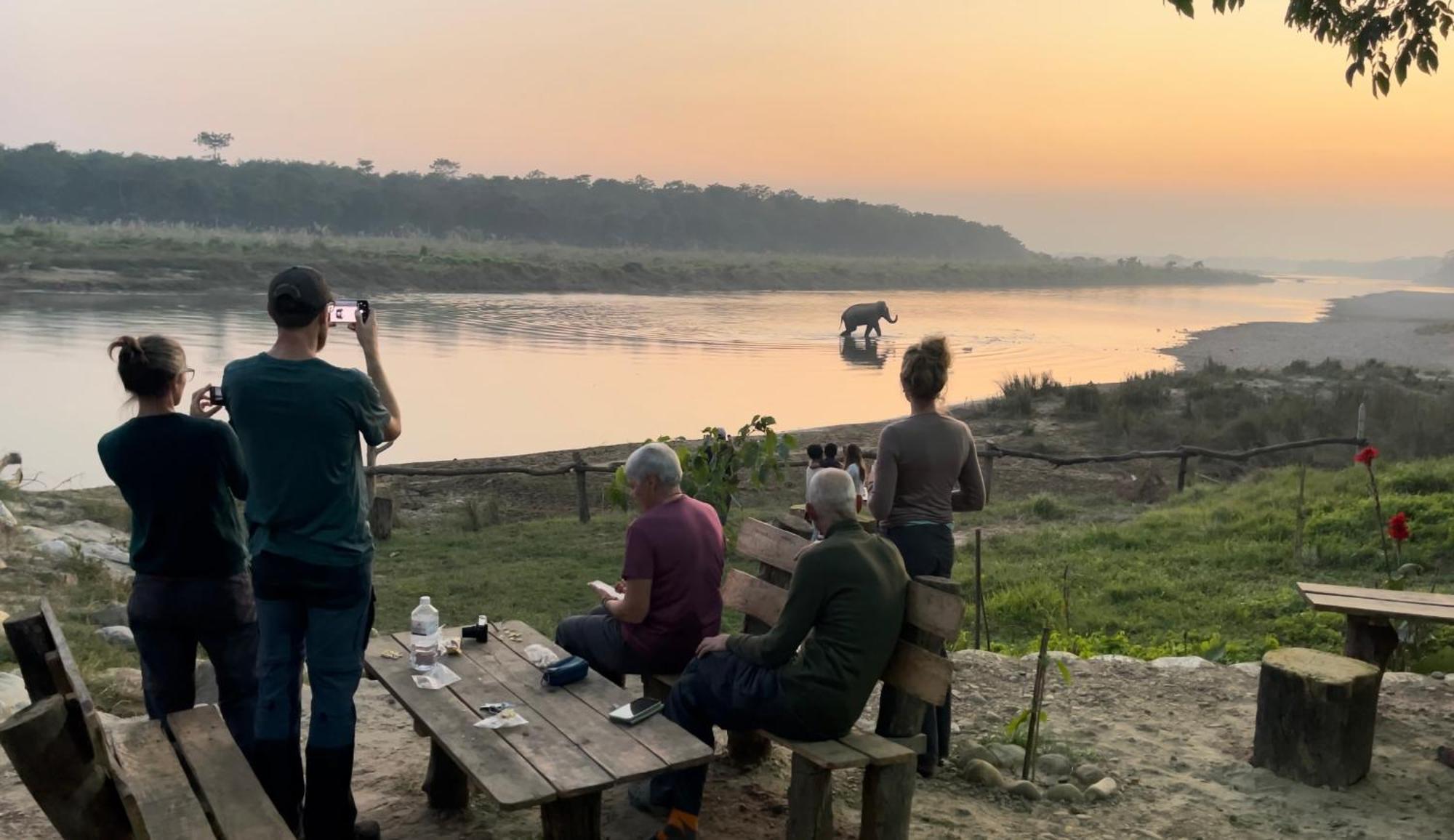 Bamby Chilling House - Feel The Nature Sauraha Exteriör bild