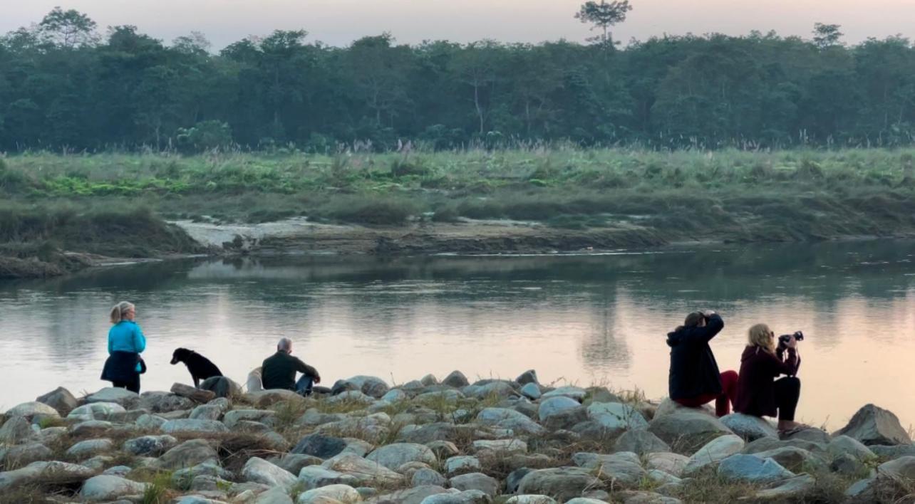 Bamby Chilling House - Feel The Nature Sauraha Exteriör bild