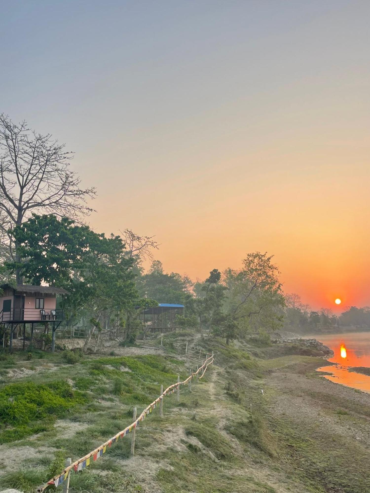 Bamby Chilling House - Feel The Nature Sauraha Exteriör bild