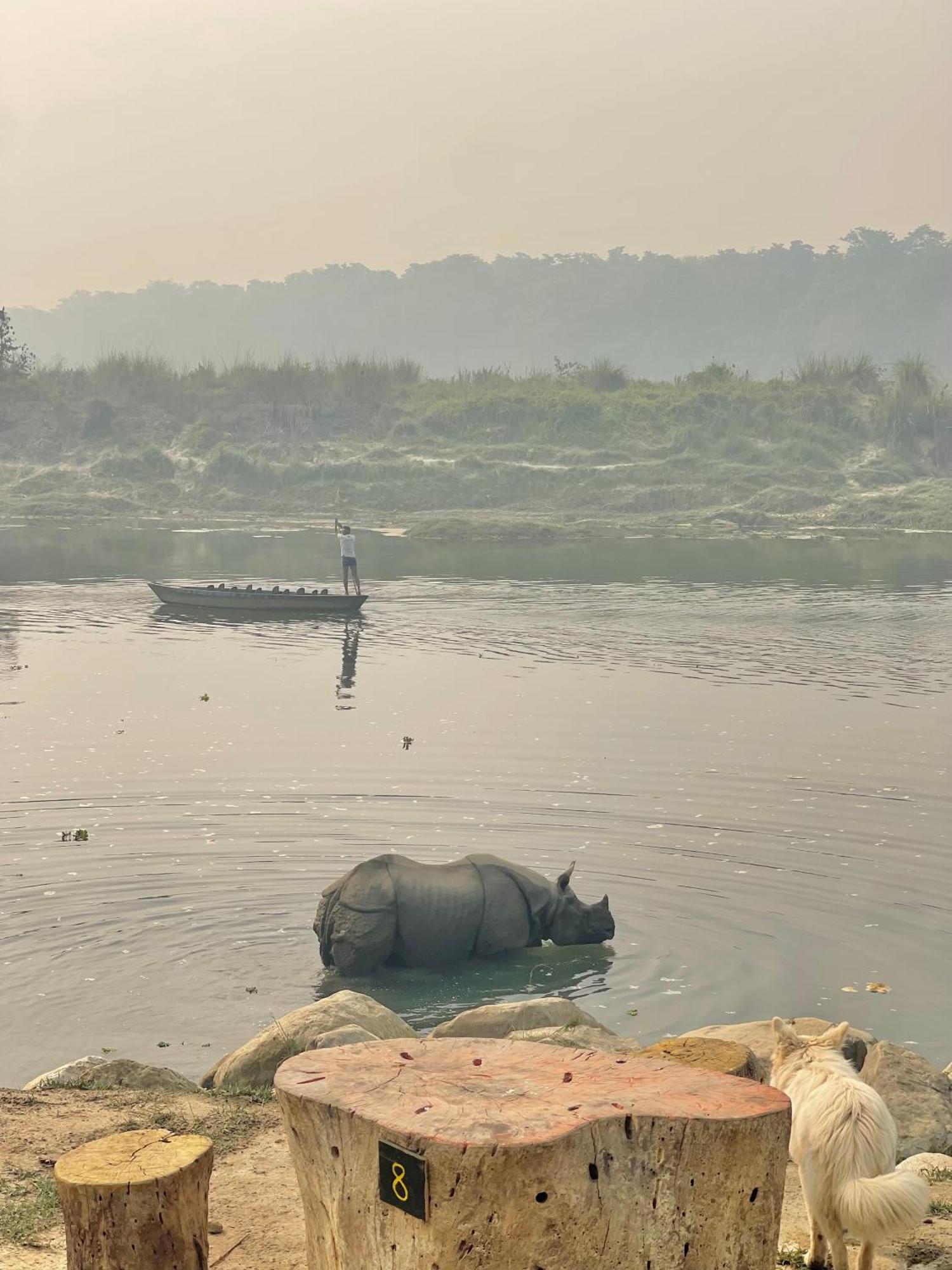 Bamby Chilling House - Feel The Nature Sauraha Exteriör bild
