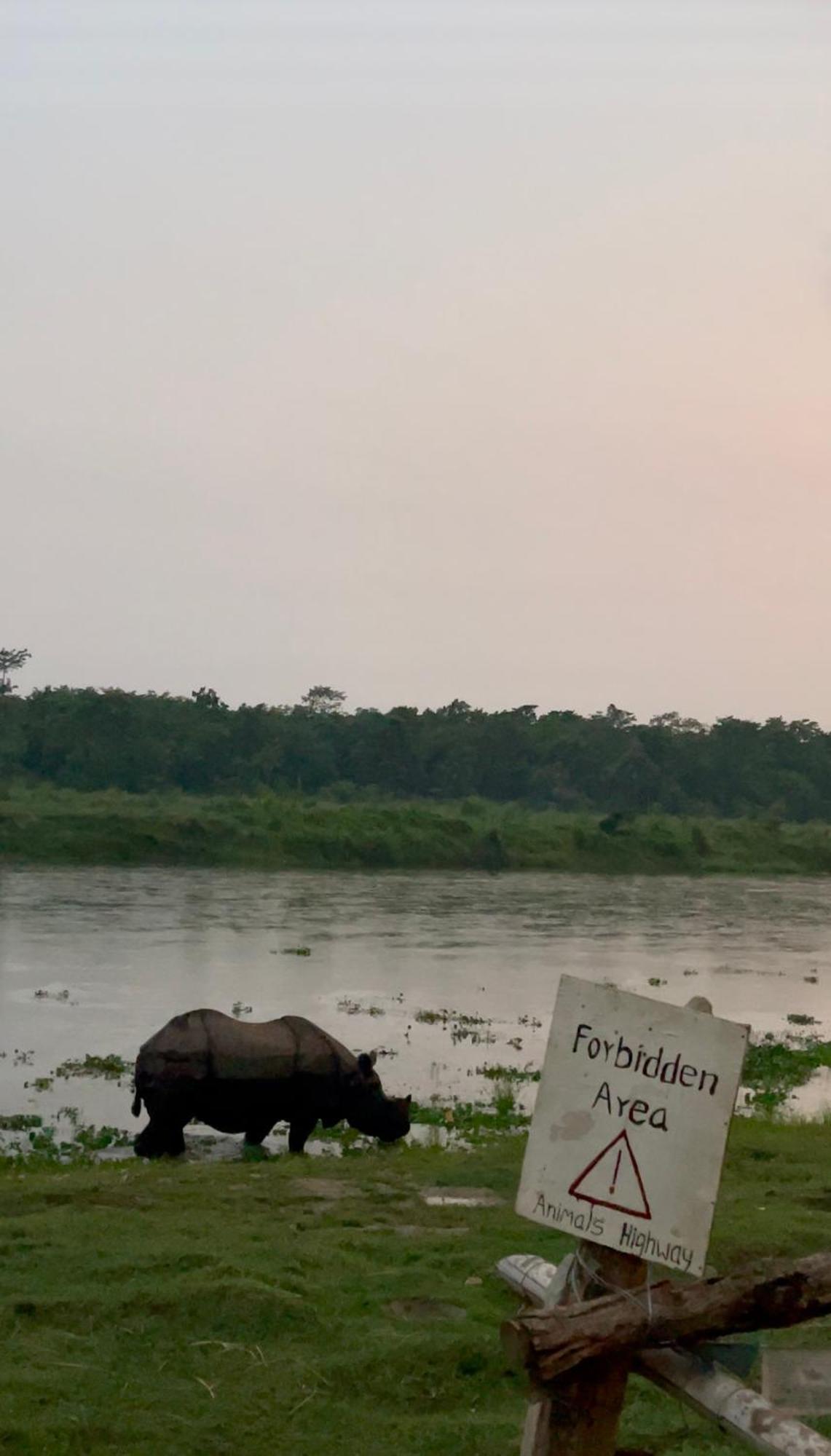 Bamby Chilling House - Feel The Nature Sauraha Exteriör bild