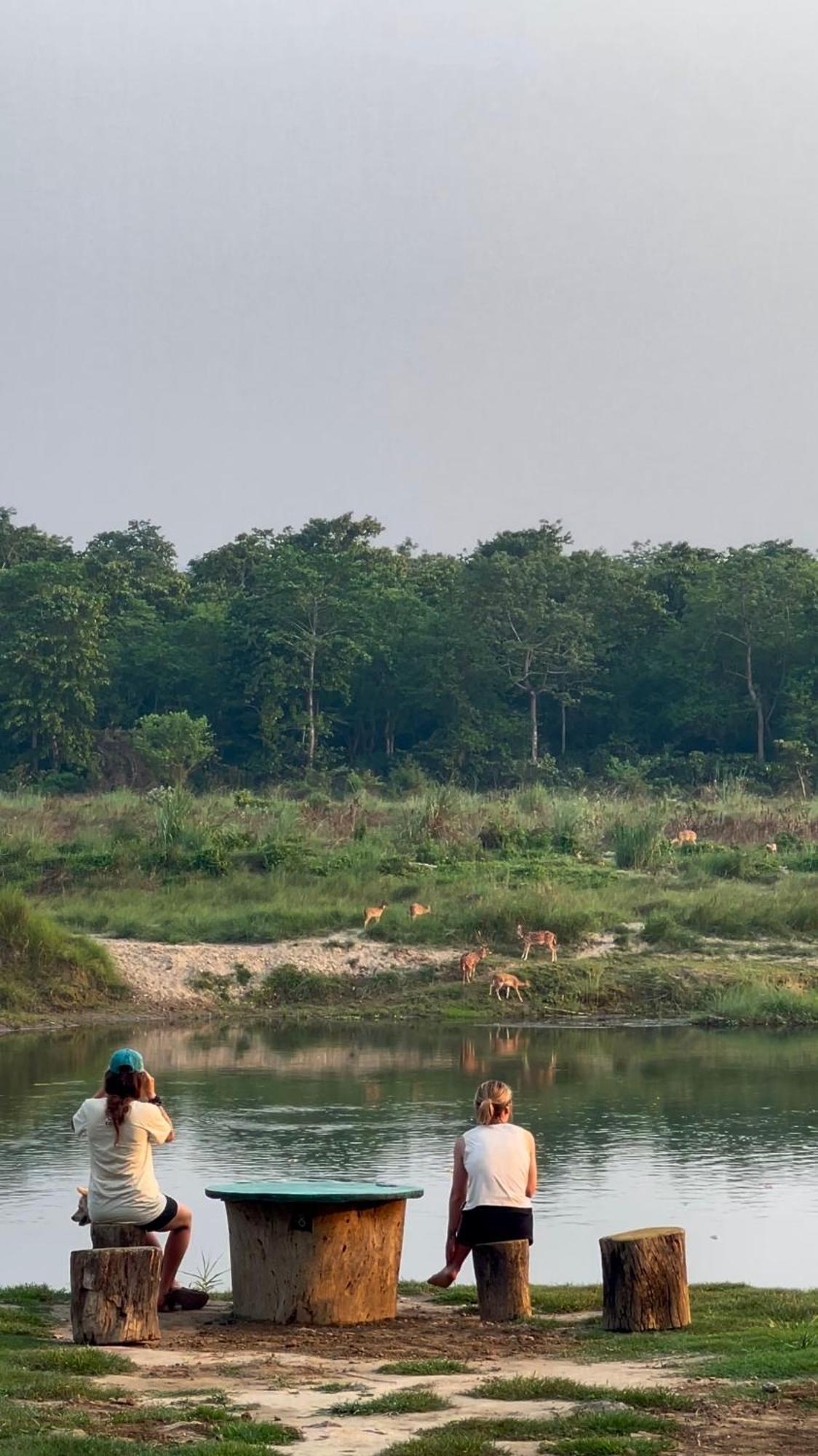 Bamby Chilling House - Feel The Nature Sauraha Exteriör bild